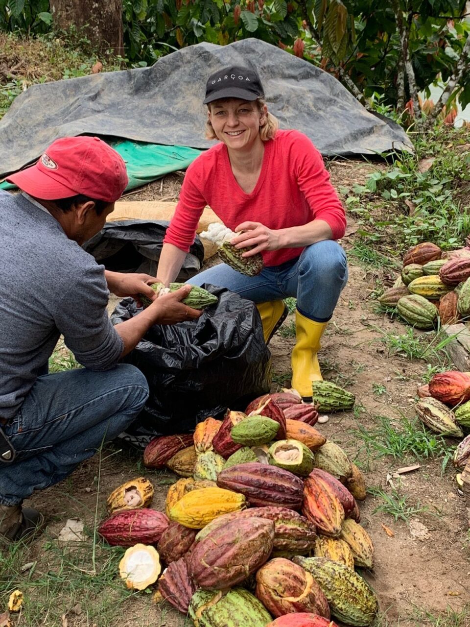 Guatemala Franzi Kakaoernte